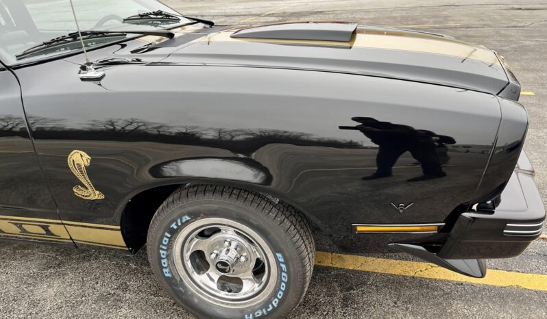 								1976 Ford Mustang Cobra II full									