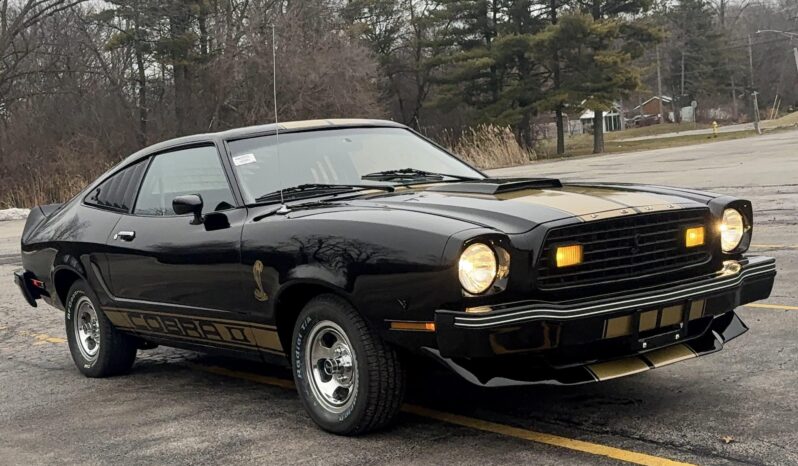 								1976 Ford Mustang Cobra II full									