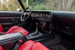 1979 Pontiac Firebird Trans Am 6-Speed