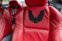 1979 Pontiac Firebird Trans Am 6-Speed full