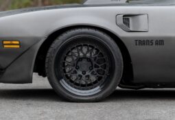 1979 Pontiac Firebird Trans Am 6-Speed full