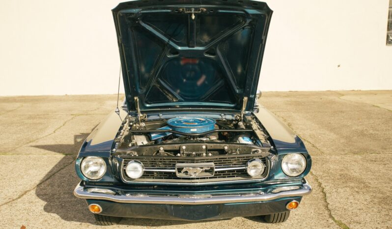 								1966 Ford Mustang Convertible A-Code 289 full									