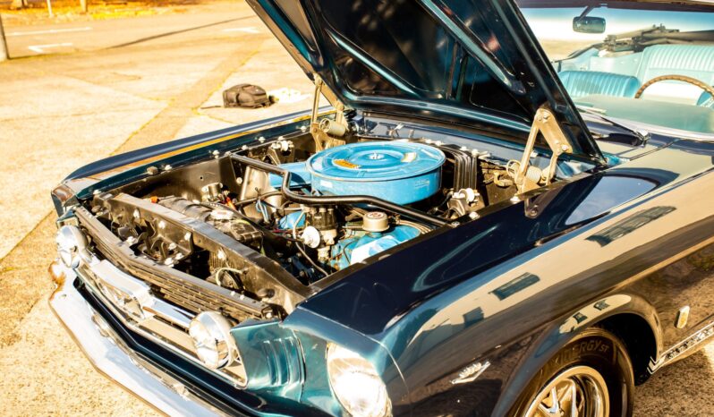 								1966 Ford Mustang Convertible A-Code 289 full									
