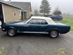 										1966 Ford Mustang Convertible A-Code 289 full									