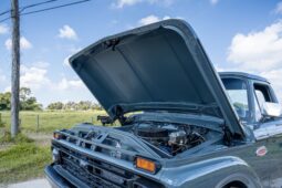 										1966 Ford F-100 4×4 full									