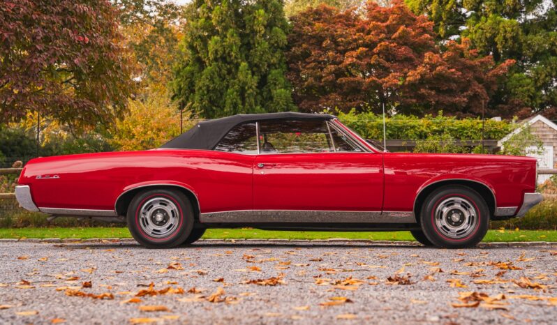 								1967 Pontiac GTO Convertible full									