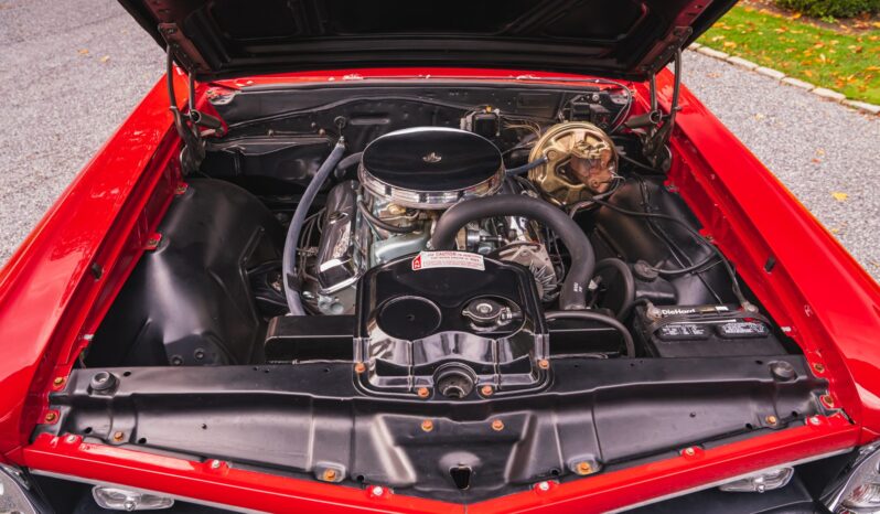 								1967 Pontiac GTO Convertible full									