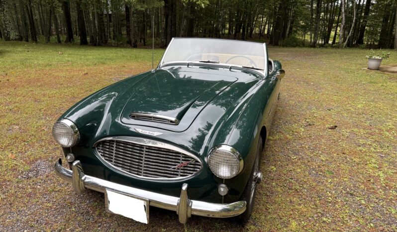 								1960 Austin-Healey 3000 BT7 Mk I full									