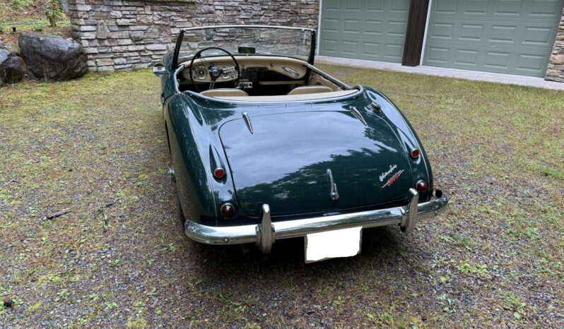 								1960 Austin-Healey 3000 BT7 Mk I full									