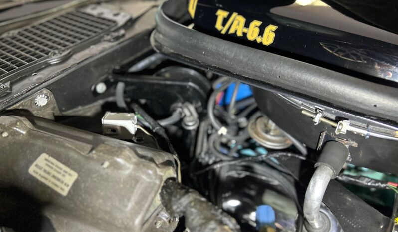 								1977 Pontiac Firebird Trans Am Special Edition full									