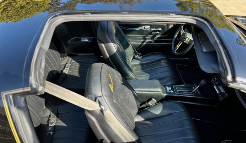 								1977 Pontiac Firebird Trans Am Special Edition full									