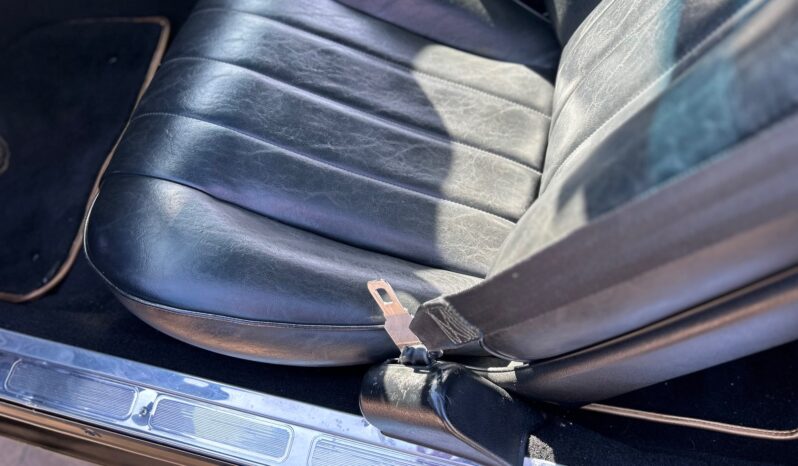 								1977 Pontiac Firebird Trans Am Special Edition full									