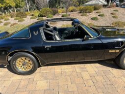 1977 Pontiac Firebird Trans Am Special Edition