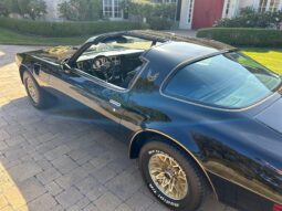 										1977 Pontiac Firebird Trans Am Special Edition full									