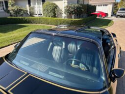 										1977 Pontiac Firebird Trans Am Special Edition full									