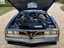 										1977 Pontiac Firebird Trans Am Special Edition full									