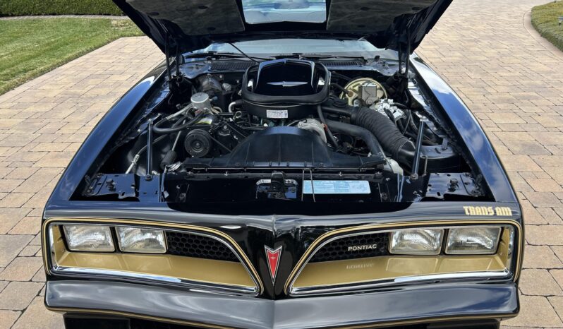 								1977 Pontiac Firebird Trans Am Special Edition full									