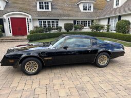 										1977 Pontiac Firebird Trans Am Special Edition full									
