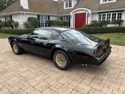 										1977 Pontiac Firebird Trans Am Special Edition full									