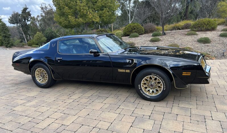 								1977 Pontiac Firebird Trans Am Special Edition full									