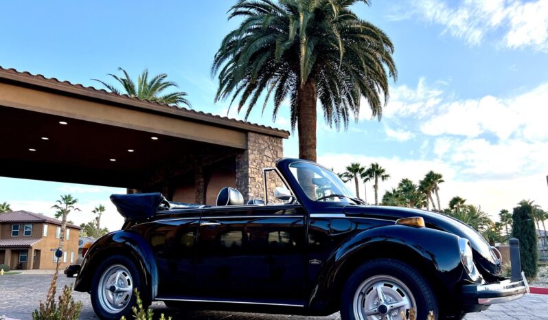 								1978 Volkswagen Super Beetle Convertible full									