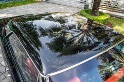 										1967 Chevrolet Chevelle SS 5-Speed full									