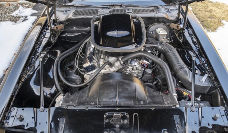 								1977 Pontiac Firebird Trans Am 4-Speed full									