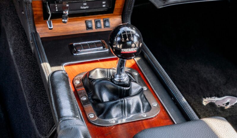 								1969 Ford Mustang SportsRoof 6-Speed 4.6L full									