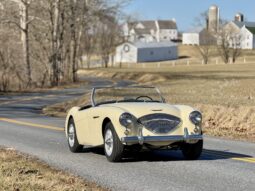 										1955 Austin-Healey 100 Roadster full									