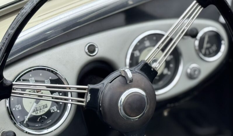 								1955 Austin-Healey 100 Roadster full									