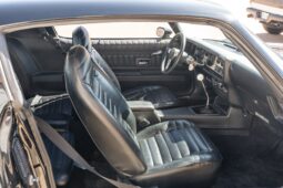 1975 Pontiac Firebird Trans Am 5-Speed