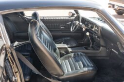 										1975 Pontiac Firebird Trans Am 5-Speed full									