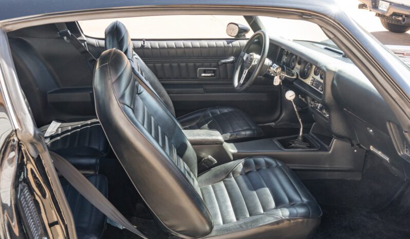 								1975 Pontiac Firebird Trans Am 5-Speed full									