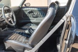 										1975 Pontiac Firebird Trans Am 5-Speed full									