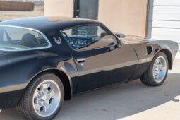 										1975 Pontiac Firebird Trans Am 5-Speed full									