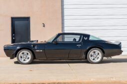 										1975 Pontiac Firebird Trans Am 5-Speed full									