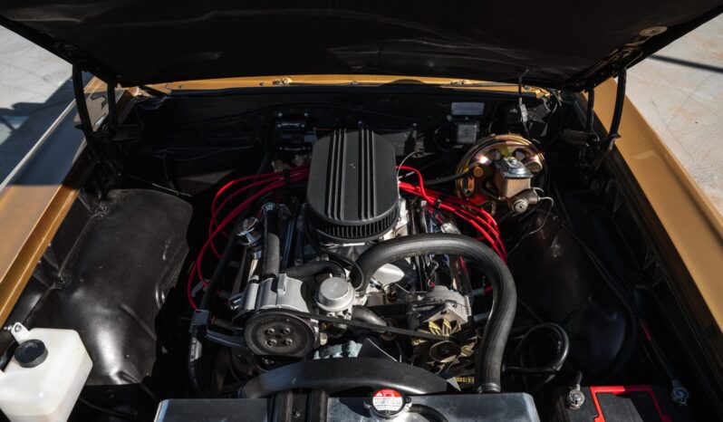 								1967 Pontiac GTO Convertible full									