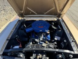 1966 Ford Mustang Fastback 289