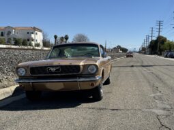 1966 Ford Mustang Fastback 289