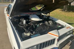 										1977 Pontiac Lemans Can Am full									