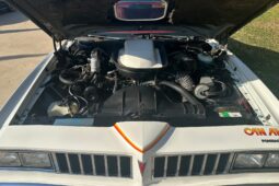 										1977 Pontiac Lemans Can Am full									