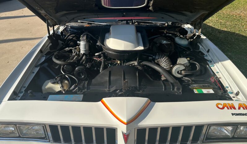 								1977 Pontiac Lemans Can Am full									