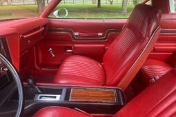 										1977 Pontiac Lemans Can Am full									