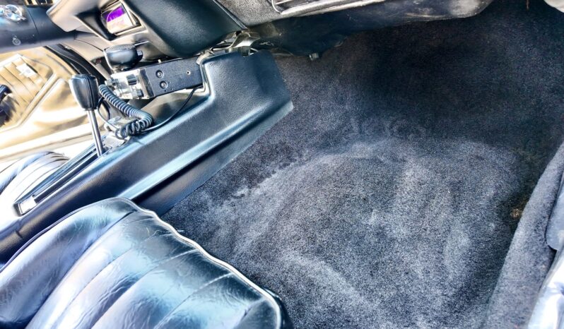 								1977 Pontiac Firebird Trans Am full									