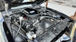 1977 Pontiac Firebird Trans Am
