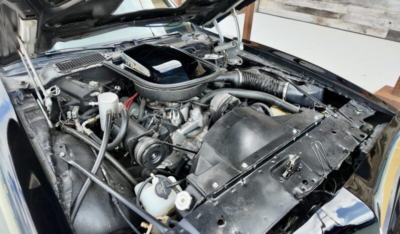								1977 Pontiac Firebird Trans Am full									