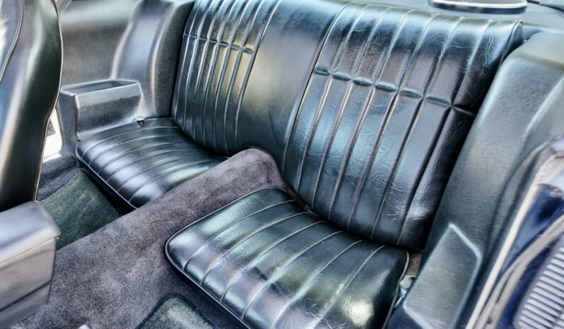 								1977 Pontiac Firebird Trans Am full									