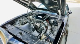 1977 Pontiac Firebird Trans Am