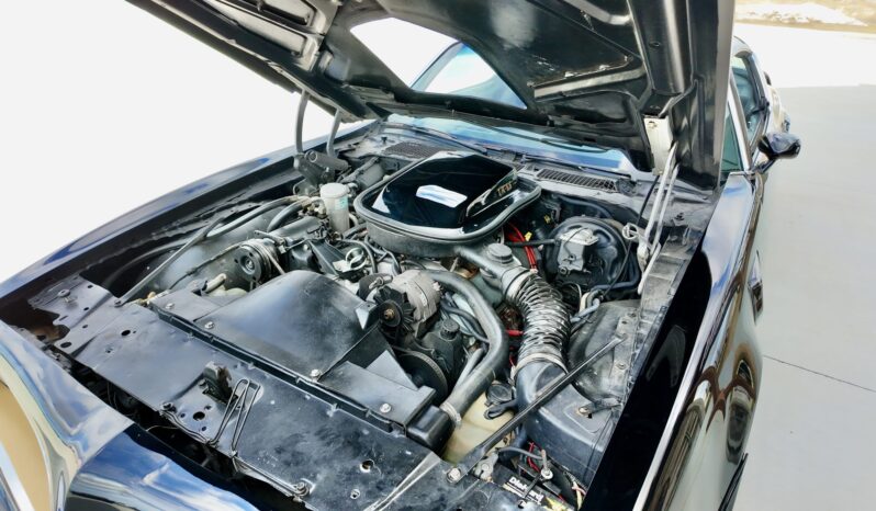 								1977 Pontiac Firebird Trans Am full									