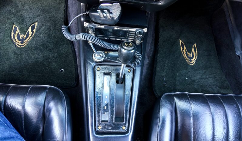 								1977 Pontiac Firebird Trans Am full									